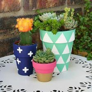 Geometric Spring Planters